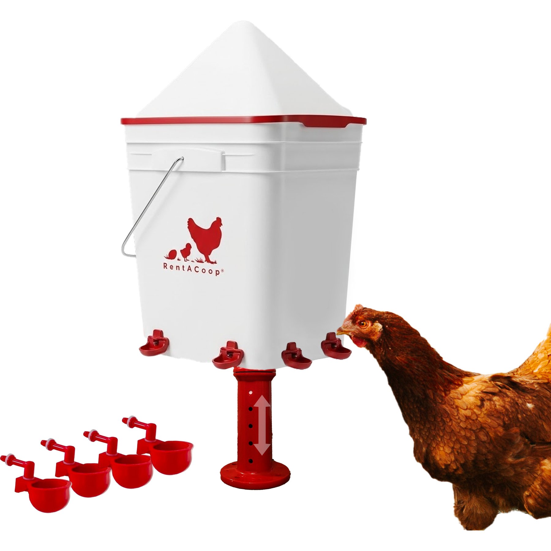 RentACoop Anti-Roost Corner Placed Chicken Waterer, 5-gal