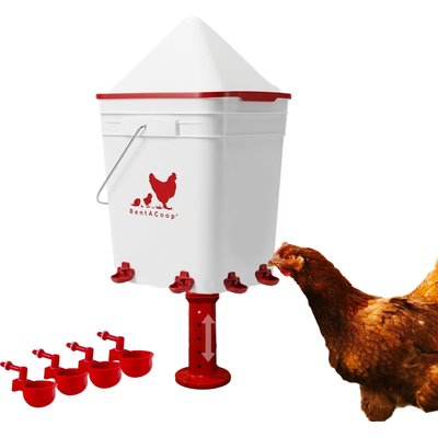 RentACoop RentACoop Anti-Roost Corner Placed Chicken Waterer, 5-gal