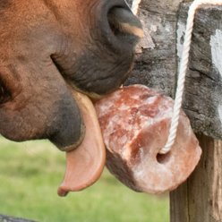 Tough1 All-Natural Himalayan Rock Salt Block Horse Treat, 2.2-lb slide 2 of 5