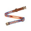 Pendleton Heritage Adjustable Dog Collar, Mystic Lake, X-Large: 20 to 26-in neck, 1-in wide
