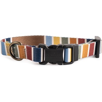 Pendleton Pendleton National Park Adventure Dog Collar, Joshua Tree, Small: 11 to 13-in neck, 3/4-in wide