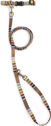 Pendleton National Park Adventure Adjustable Standard Dog Leash, Joshua Tree, 6-ft long, 1/2-in wide slide 2 of 8