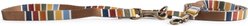 Pendleton National Park Adventure Adjustable Standard Dog Leash, Joshua Tree, 6-ft long, 1/2-in wide