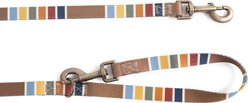 Pendleton National Park Adventure Adjustable Standard Dog Leash, Joshua Tree, 6-ft long, 3/4-in wide slide 2 of 8