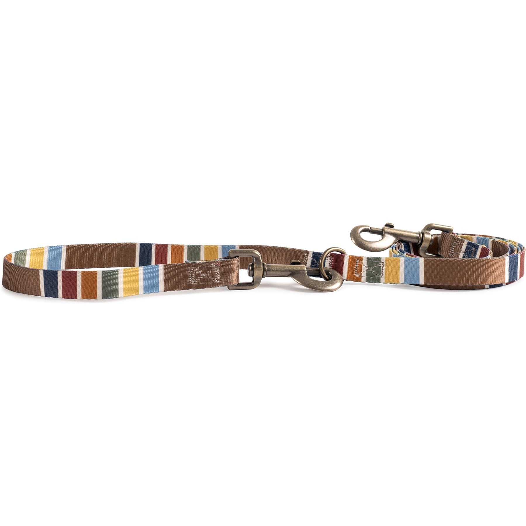 Pendleton National Park Adventure Adjustable Standard Dog Leash, Joshua Tree, 6-ft long, 3/4-in wide