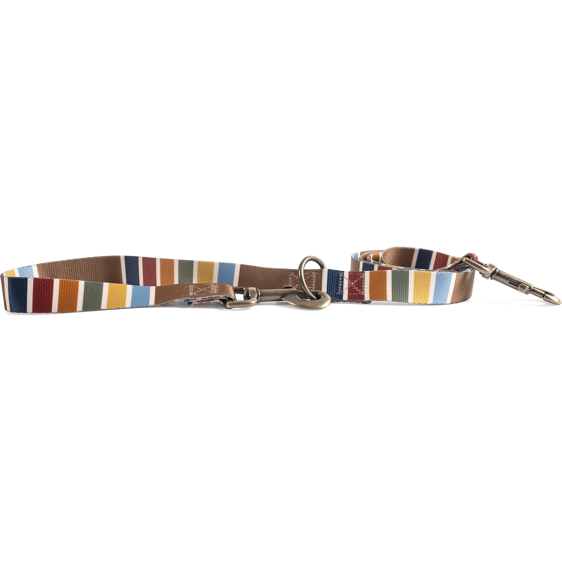 Pendleton National Park Adventure Adjustable Standard Dog Leash, Joshua Tree, 6-ft long, 1-in wide