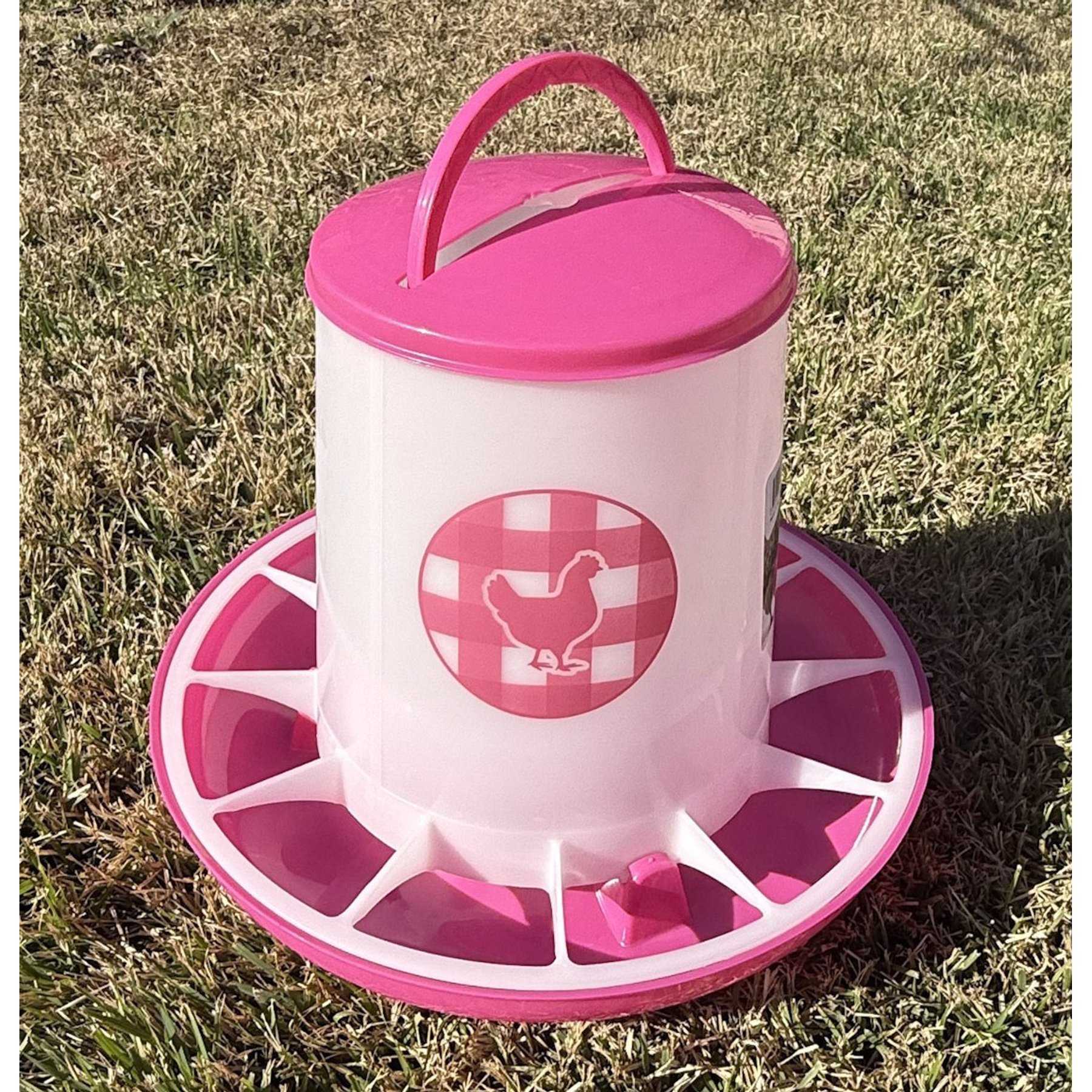 Zylina Chicken Feeder, 13-lb, Fuchsia