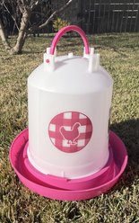 Zylina Chicken Waterer, 1.5-gal, Fuchsia
