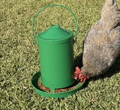 Zylina Powder Coated Metal Chicken Feeder, Green, 9-lb