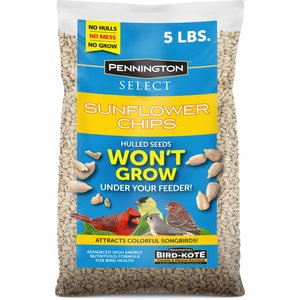 KAYTEE Striped Sunflower Wild Bird Food, 5-lb bag - Chewy.com