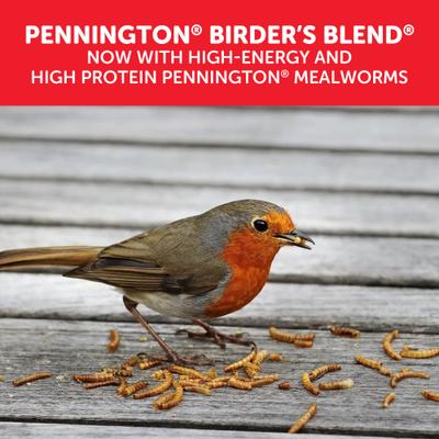 Show full view: Pennington Select Birder's Blend Seed & Mealworm Mix Wild Bird Food, 40-lb bag slide 3 of 8
