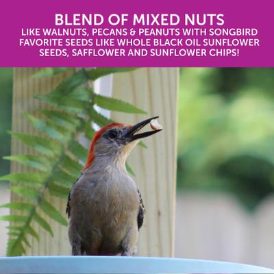 Show full view: Pennington Ultra Double Nut, Nut & Fruit Blend Wild Bird Food, 10-lb bag slide 3 of 10
