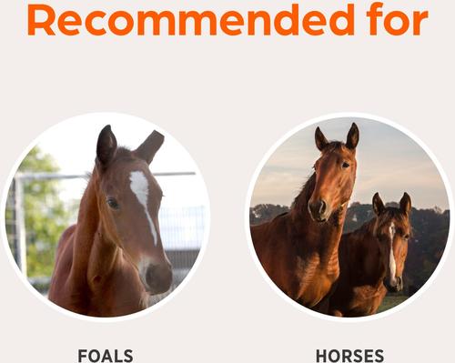 Show full view: Fluvac Innovator 5 Vaccine for Horses, 1mL Syringe slide 6 of 7