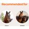 Show in main carousel: Fluvac Innovator EHV 4/1 Vaccine for Horses, 1mL Syringe slide 6 of 7