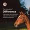 Show in main carousel: Fluvac Innovator EHV 4/1 Vaccine for Horses, 1mL Syringe slide 5 of 7