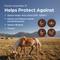 Show in main carousel: Fluvac Innovator 5 Vaccine for Horses, 1mL Syringe slide 2 of 7