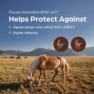 Show full view: Fluvac Innovator EHV 4/1 Vaccine for Horses, 1mL Syringe slide 2 of 7