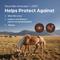 Show in main carousel: West Nile Innovator + EWT Vaccine for Horses, 1mL Syringe slide 2 of 7