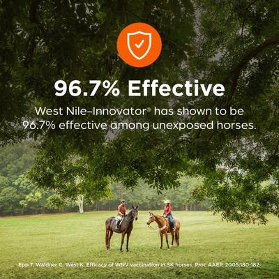 Show full view: West Nile Innovator + EWT Vaccine for Horses, 1mL Syringe slide 3 of 7