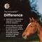 Show in main carousel: West Nile Innovator + EWT Vaccine for Horses, 1mL Syringe slide 5 of 7