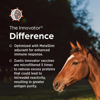 Show full view: West Nile Innovator + EWT Vaccine for Horses, 1mL Syringe slide 5 of 7