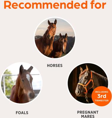 Show full view: West Nile Innovator + EWT Vaccine for Horses, 1mL Syringe slide 6 of 7