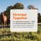 Show in main carousel: West Nile Innovator + EWT Vaccine for Horses, 1mL Syringe slide 4 of 7