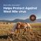 Show in main carousel: West Nile Innovator Vaccine for Horses, 1mL Syringe slide 2 of 7