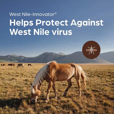 Show full view: West Nile Innovator Vaccine for Horses, 1mL Syringe slide 2 of 7