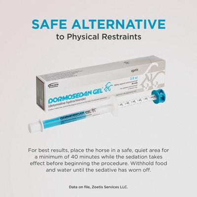 Show full view: Dormosedan Gel for Horses, 7.6 mg/mL, 3-mL oral syringe slide 5 of 5