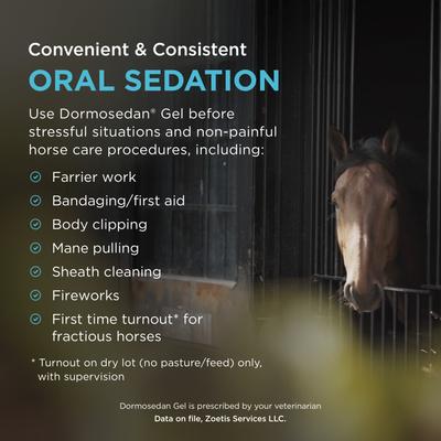 Show full view: Dormosedan Gel for Horses, 7.6 mg/mL, 3-mL oral syringe slide 3 of 5