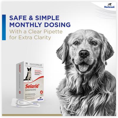 Show full view: Selarid Topical Solution for Dogs, 40.1-85 lbs, (Teal Box), 6 Doses (6-mos. supply) slide 3 of 9