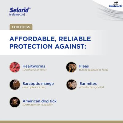Show full view: Selarid Topical Solution for Dogs, 40.1-85 lbs, (Teal Box), 6 Doses (6-mos. supply) slide 5 of 9