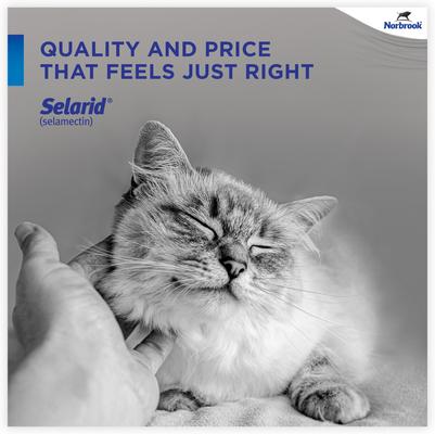 Show full view: Selarid Topical Solution for Cats, 5.1-15 lbs, (Blue Box), 6 Doses (6-mos. supply) slide 4 of 9