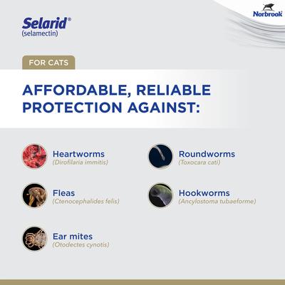 Show full view: Selarid Topical Solution for Cats, 5.1-15 lbs, (Blue Box), 6 Doses (6-mos. supply) slide 5 of 9