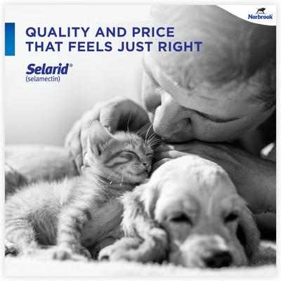 Show full view: Selarid Topical Solution for Puppies & Kittens, 0-5 lbs, (Mauve Box), 3 Doses (3-mos. supply) slide 3 of 9