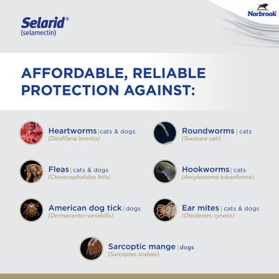Show full view: Selarid Topical Solution for Puppies & Kittens, 0-5 lbs, (Mauve Box), 3 Doses (3-mos. supply) slide 5 of 9