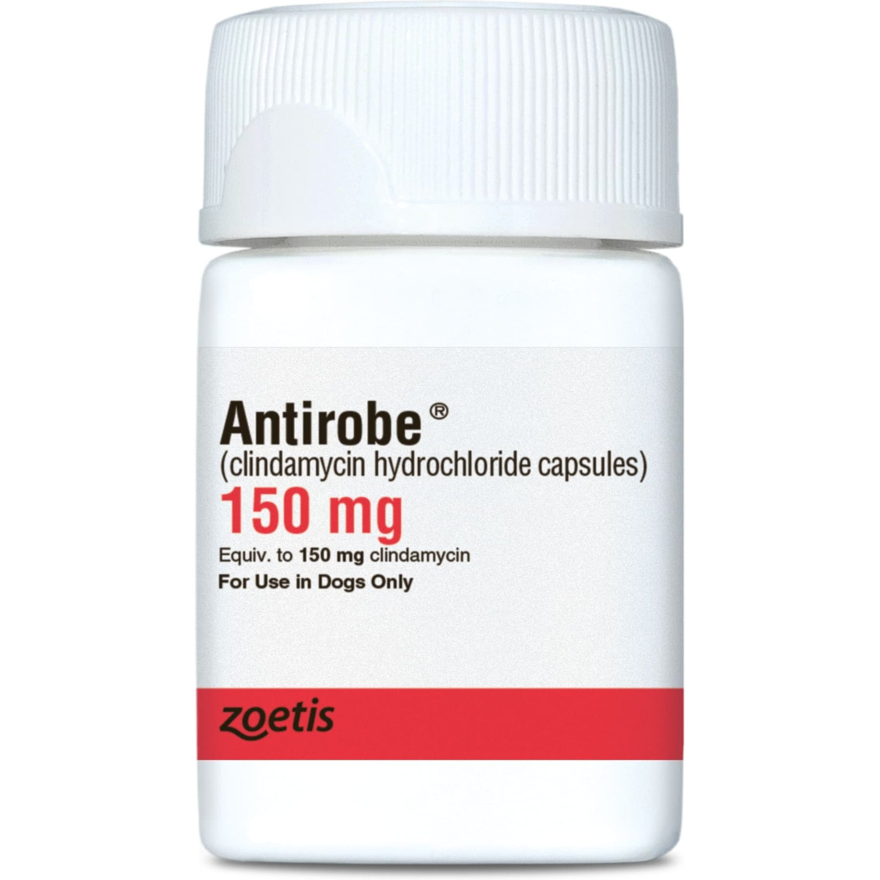 Antirobe (Clindamycin HCI) Capsules for Dogs, 150-mg, 60 capsules