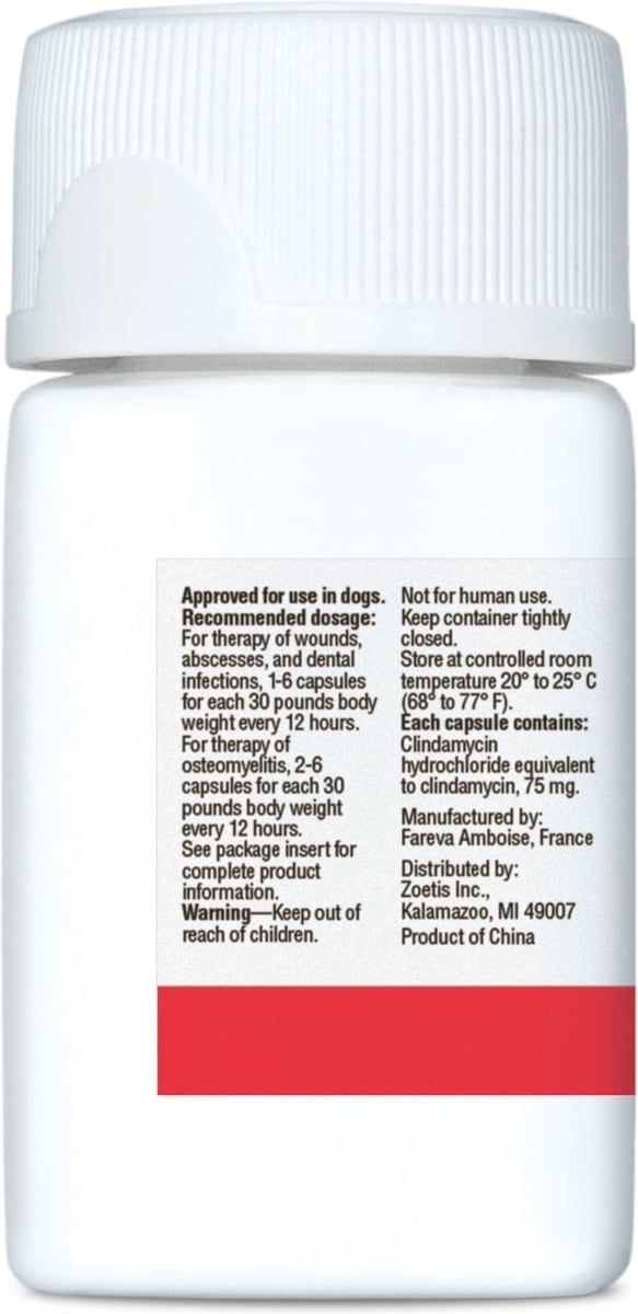 ANTIROBE (Clindamycin HCI) Capsules for Dogs, 75-mg - Easy Refills ...