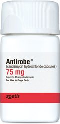 Antirobe (Clindamycin HCI) Capsules for Dogs, 75-mg, 30 capsules