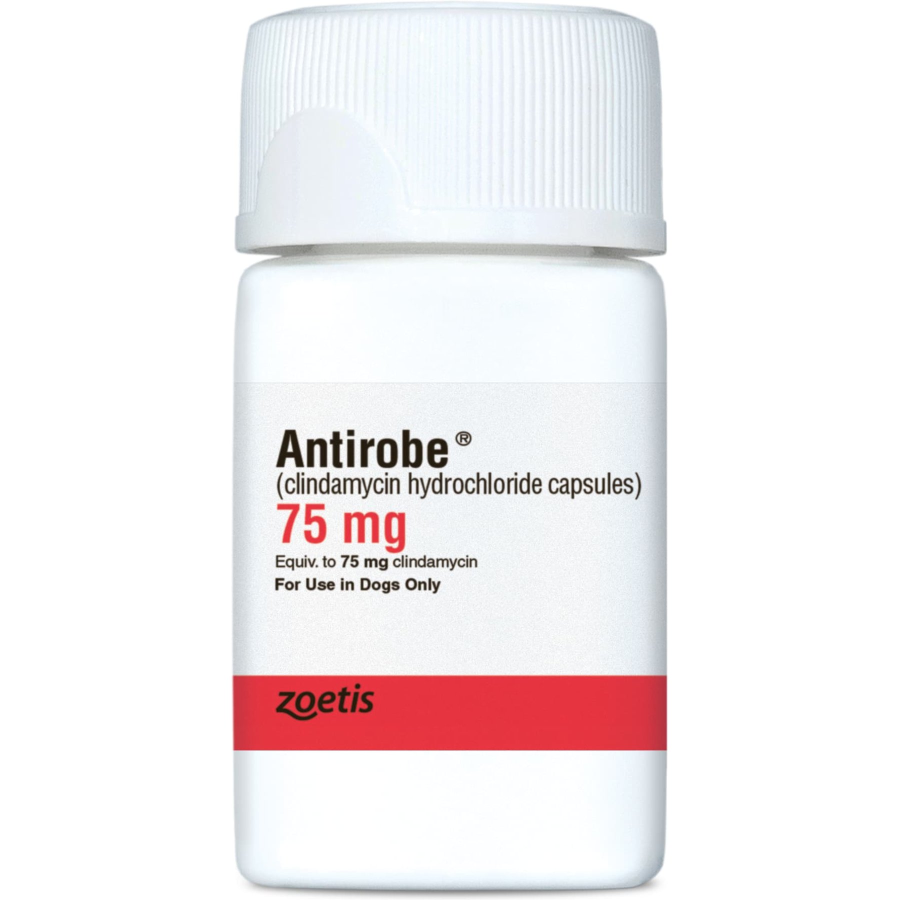 Antirobe (Clindamycin HCI) Capsules for Dogs, 75-mg, 180 capsules