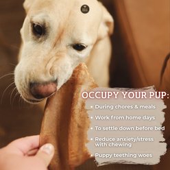 Bully Bunches Small Puppy Natural Dog Chew slide 2 of 6