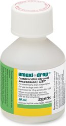 Amoxi-Drop (Amoxicillin) Powder for Oral Suspension for Dogs & Cats, 50-mg, 30-mL