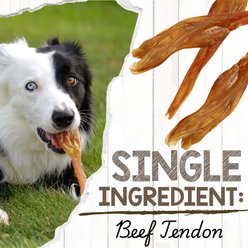 Nature Gnaws USA Beef Tendon Natural Dog Chew Treats, 8-oz bag slide 2 of 8