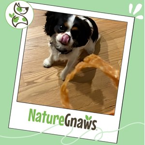 Nature Gnaws USA Turkey Rings Natural Dog Chew Treats, 8-oz bag