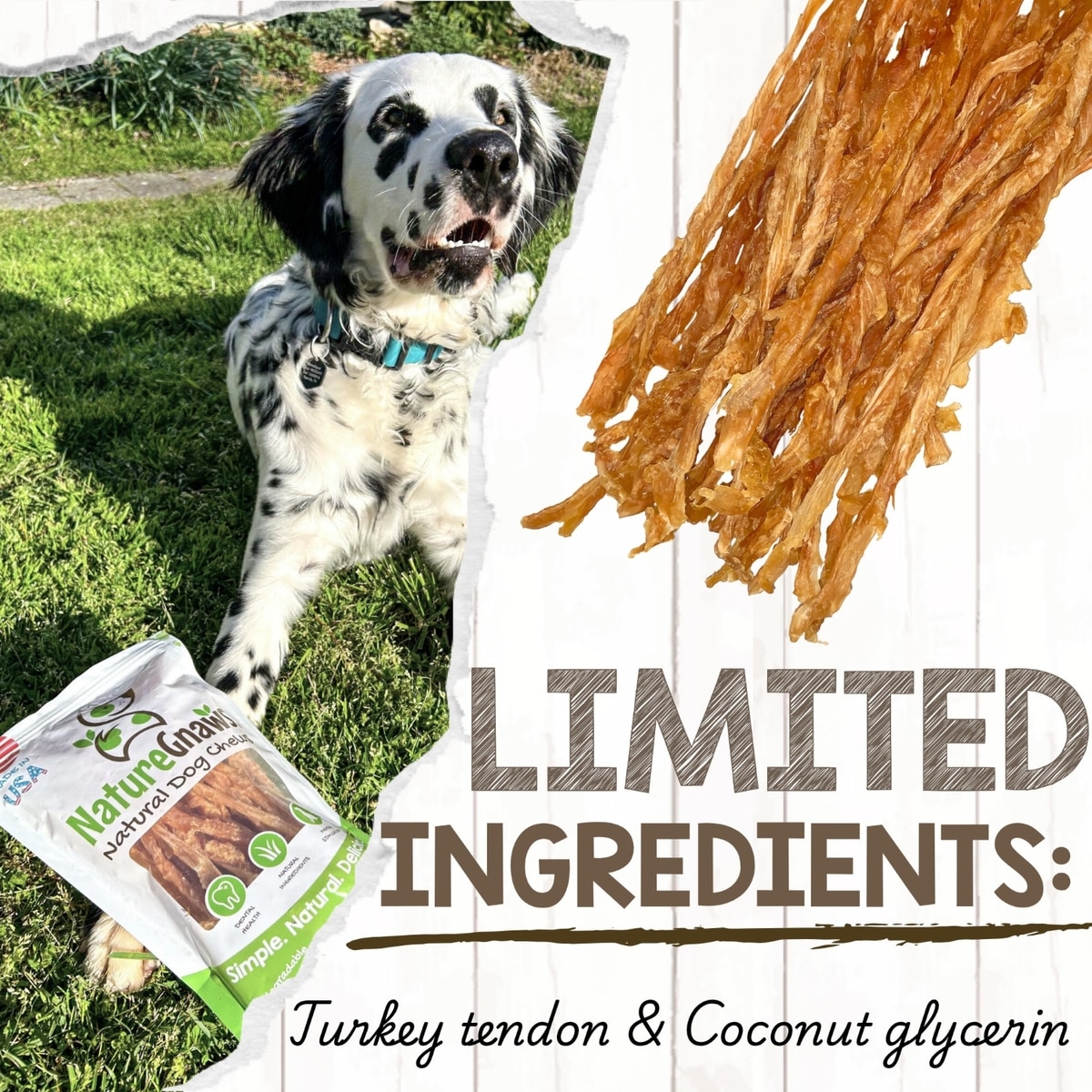 NATURE GNAWS USA Turkey Tendon Natural Dog Chew Treats, 1-lb bag