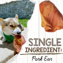Nature Gnaws Pig Ears Natural Dog Chew Treats, 8 count slide 2 of 8