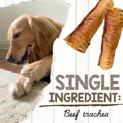 Nature Gnaws 6-in Beef Trachea Dog Chew Treats, 6 count slide 2 of 8