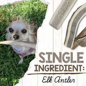 Nature Gnaws 5 to 8-in USA Elk Antler Natural Dog Chew Treats, 3 count