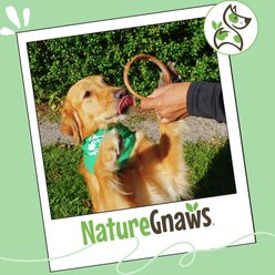 Nature Gnaws Beef Bully Rings Natural Dog Chew Treats, 5 count slide 2 of 8